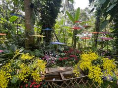 -中国科学院西双版纳热带植物园