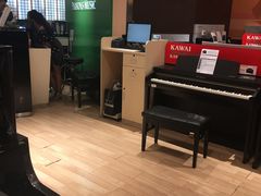 -柏斯音乐艺术中心·钢琴·吉他(世纪金源店)