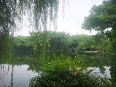 -棠湖公园