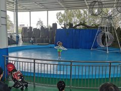 -泉州海丝野生动物世界