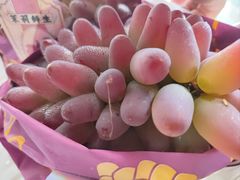 -马陆小张葡萄园农家乐