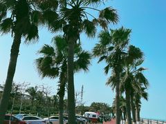 -白沙门生态公园