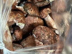 -杨记山珍鸡煲菌汤锅