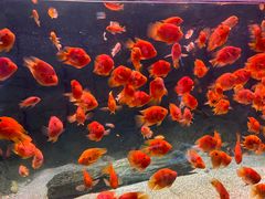 -常州海昌海洋探索馆