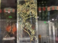 -广东中医药博物馆