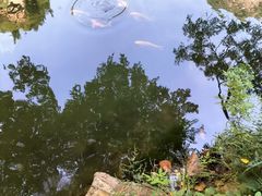 -湖洞水自然风景区