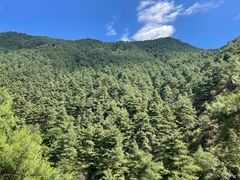 -苍山感通索道