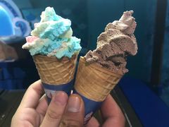 -泉城欧乐堡海洋极地世界