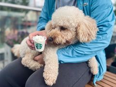 爪布奇诺-星巴克(扬州珍园店)