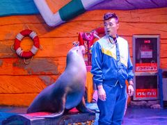 -烟台海昌鲸鲨海洋公园