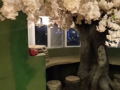 -猫猫幼稚园·撸猫·桌游·电玩