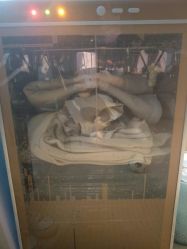 点击看大图 -爱儿宝孕妇儿童亲子摄影(月亮河店)