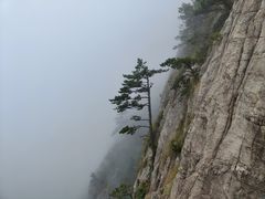 -明堂山风景区