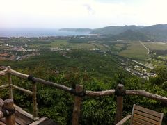 IMG_0407-三亚亚龙湾人间天堂鸟巢度假村