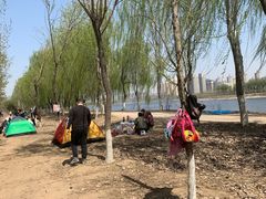 -东郊湿地公园