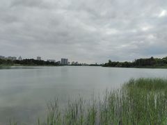 -桐乡凤凰湖