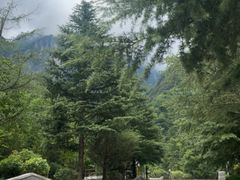 -秦岭天竺山景区