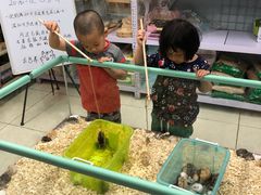 -钓仓鼠(洋桥北里小区店)