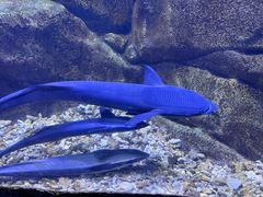 -多彩贵州城极地海洋世界