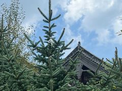 -雁门关景区
