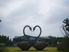 -东平国家森林公园