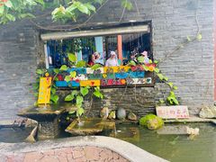 -亚龙湾热带天堂森林公园