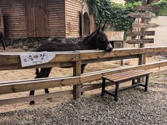 -HERRE·FARM 赫尔露营农场·团建聚会包场