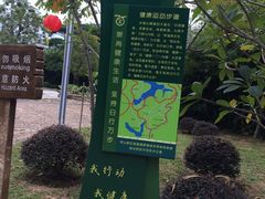 -聚龙山公园
