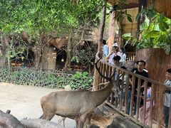-长鹿旅游休博园