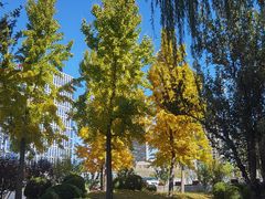 -元大都城垣遗址公园