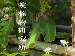 -国家植物园南园