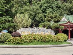 -顺峰山公园