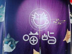 -喵屿·大理花园猫咖