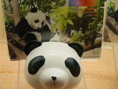 -熊猫屋(宽窄巷子景区店)