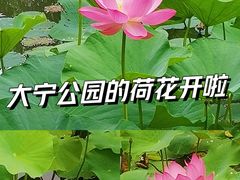 -大宁公园
