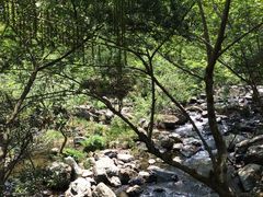 -石台牯牛降景区