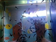 -汤连得温泉馆(宝山店)