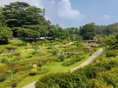 -东莞植物园