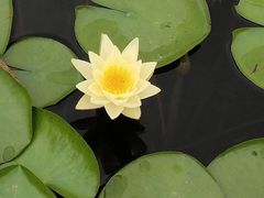 -昆山城市生态森林公园