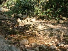 -火炉山森林公园