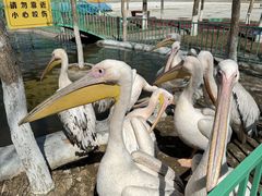 -水上乐园·欢乐世界