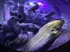 -成都浩海立方海洋公园