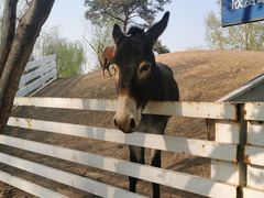 -酷鱼垂钓CLUB(朝阳区博大路店 )