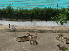 -泉州海丝野生动物世界