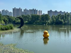 -昆山城市生态森林公园