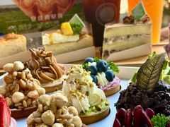 -倾城密码(大唐店)