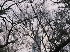 -颐和路民国时期公馆-风貌区