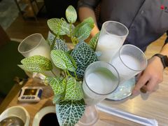 -探窝·竹笙椰子鸡(杨箕店)