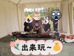 -上海长兴岛郊野公园