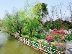 -南汇桃花村